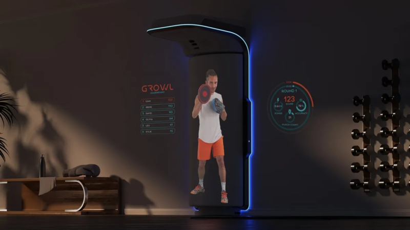 GROWL: The Smart Home Boxing Training Device Concept