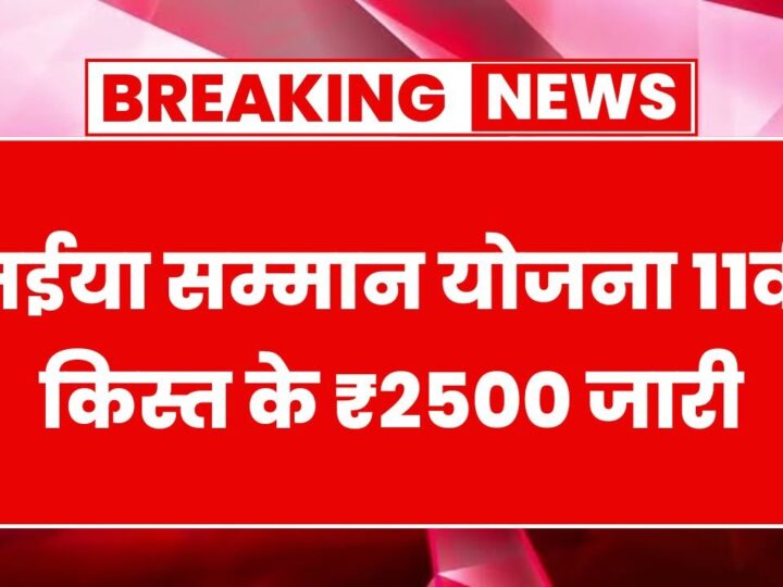 ₹2,500 Credited! 11th Installment of Mukhyamantri Maiya Samman Yojana Released – Here’s How to Check Your Name & Bank Status